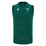 Canotta Galles Rugby 2026 Allenamento Verde